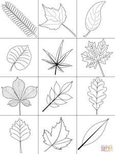 coloriage feuilles d'automne à imprimer de la catégorie coloriage automne