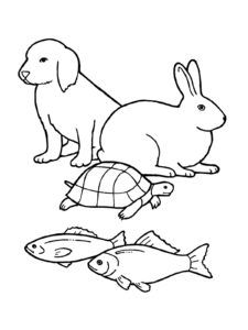 coloriage à imprimer chat chien lapin de la catégorie coloriage chien