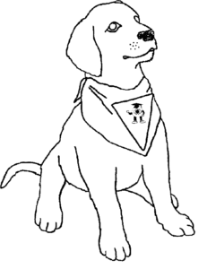 coloriage chien labrador a imprimer gratuit de la catégorie coloriage chien