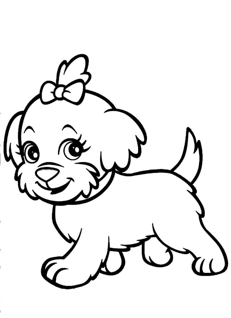 coloriage chien  coloriage petit chien mignon