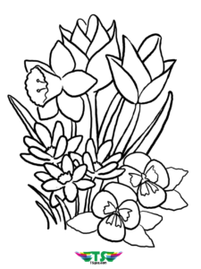 coloriage des fleurs du printemps de la catégorie coloriage fleur