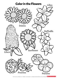 coloriage fleur maternelle à imprimer de la catégorie coloriage fleur