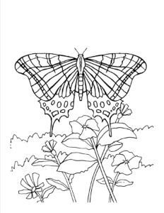 coloriage fleur et papillon a imprimer de la catégorie coloriage fleur