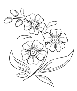 coloriage dessin facile fleur de la catégorie coloriage fleur