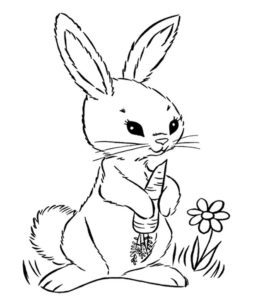dessin a colorier lapin avec carotte de la catégorie coloriage lapin