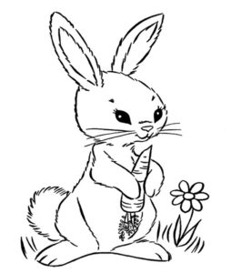 coloriage lapin avec carotte a imprimer de la catégorie coloriage lapin