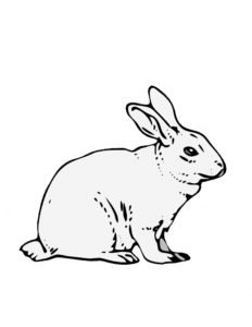 coloriage lapin à imprimer gratuit de la catégorie coloriage lapin