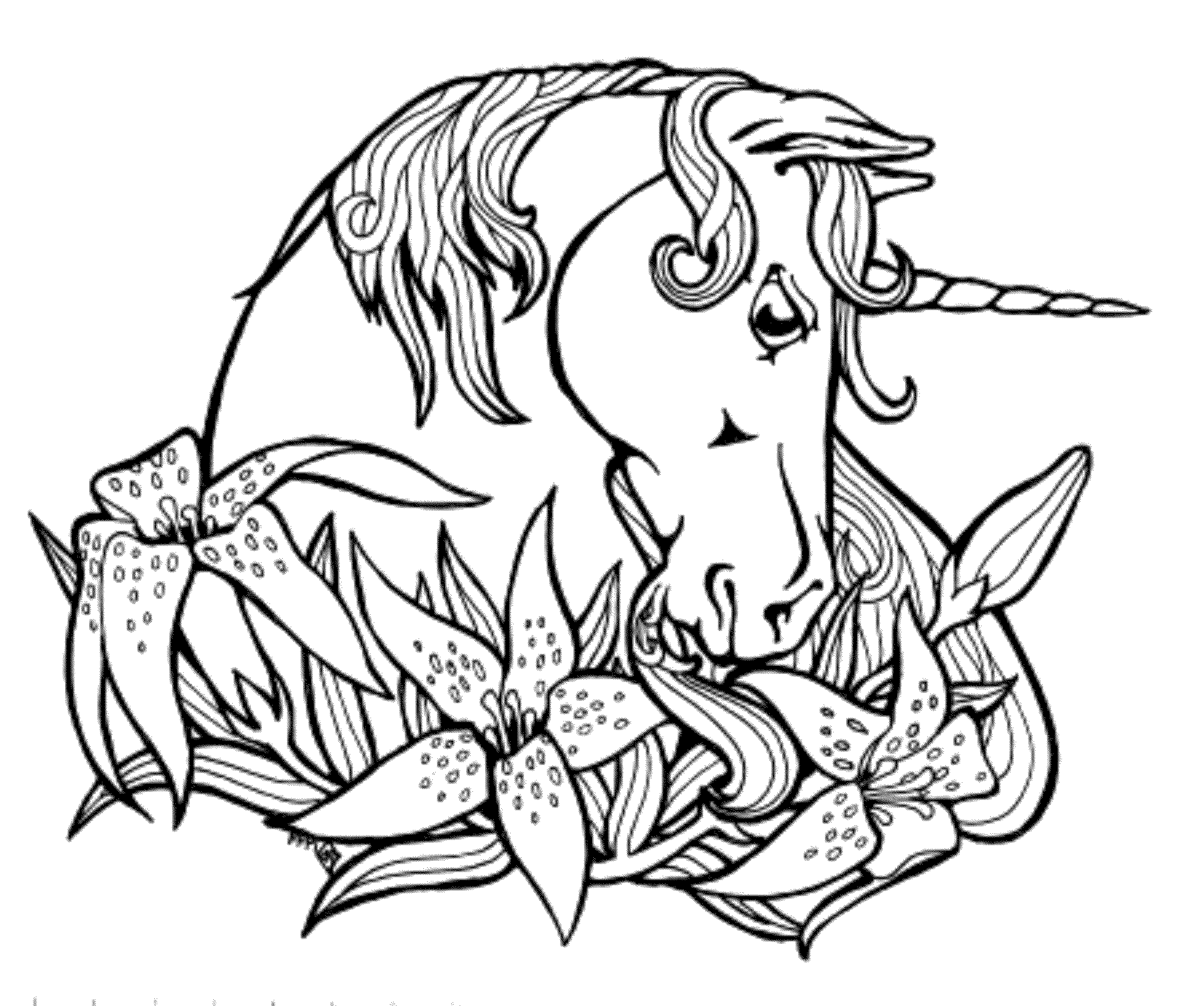 coloriage licorne  coloriage licorne