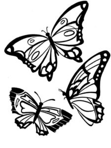 coloriage papillon de la catégorie coloriage papillon
