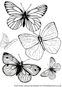 coloriage magique papillon a imprimer gratuit de la catégorie coloriage papillon