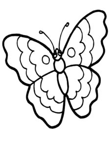 coloriage papillon gratuit en ligne de la catégorie coloriage papillon