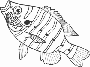 coloriage magique poisson d'avril maternelle de la catégorie coloriage poisson d avril