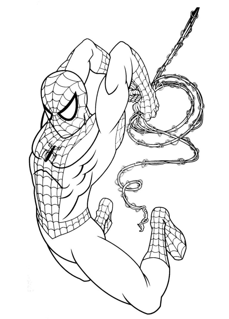 coloriage spiderman gratuits à imprimer (Coloriages, Dessins et PDF