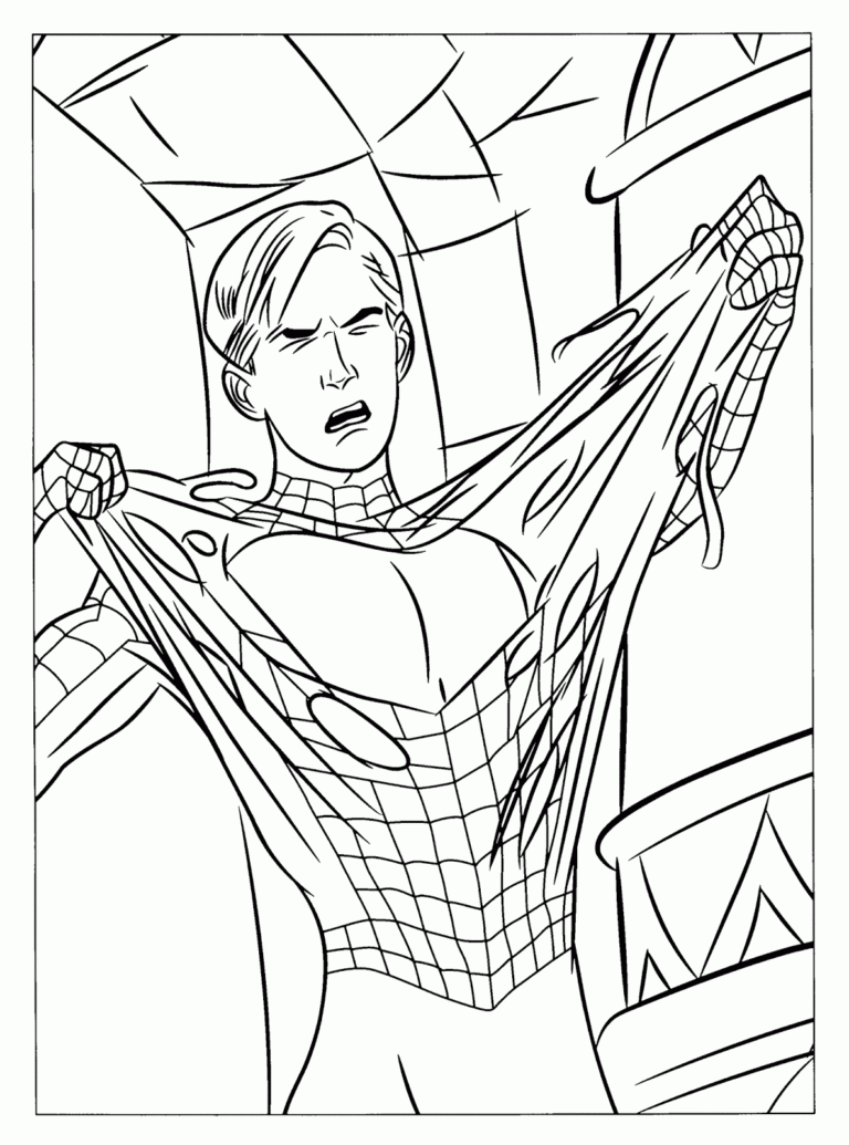 coloriage spiderman  cahier de coloriage spiderman pdf